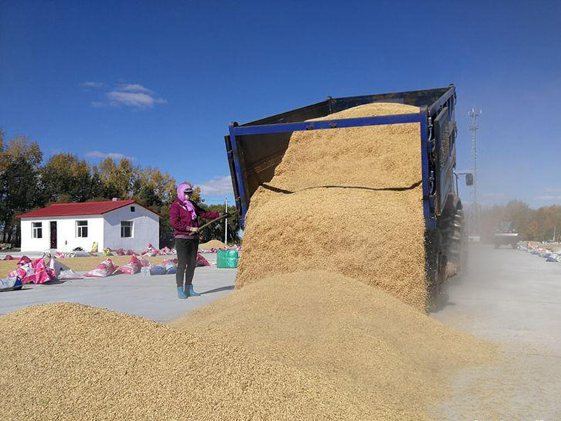 糧食容易受到哪些污染？