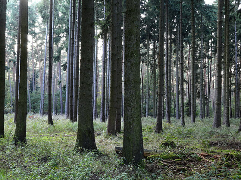 空氣負氧離子檢測儀可實時監控空氣質量