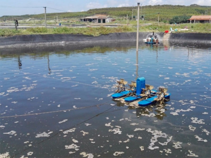 水中亞硝酸鹽含量過高對養(yǎng)殖有什么影響