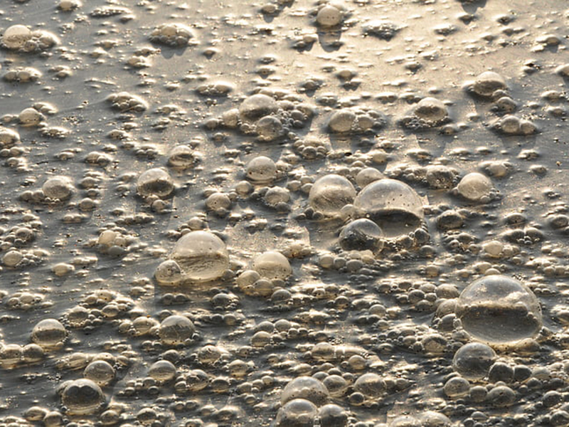 檢測(cè)工業(yè)污水可以用在線氨氮檢測(cè)儀嗎 檢測(cè)工業(yè)污水可以用在線氨氮檢測(cè)儀嗎