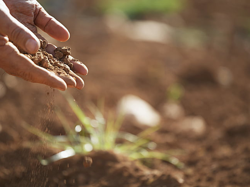 如何檢測土壤重金屬是否超標