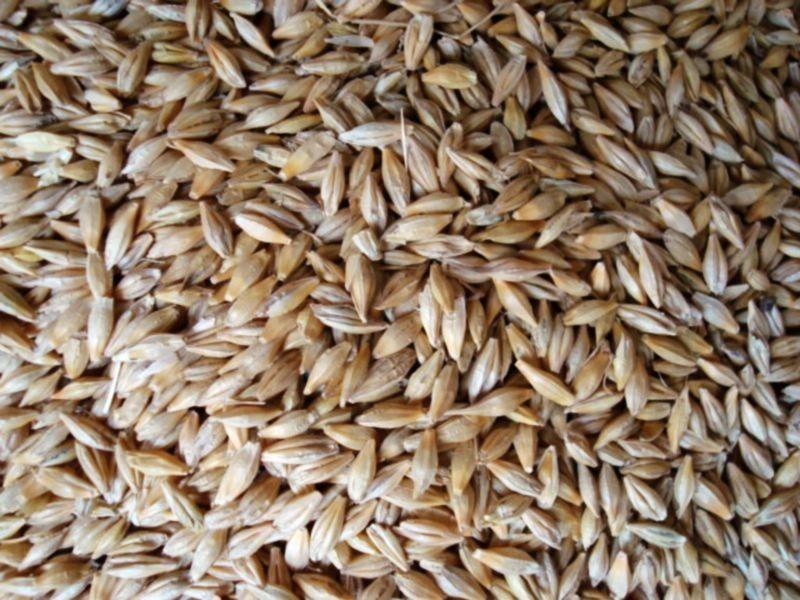 糧食重金屬檢測儀，滿足現場檢測需求