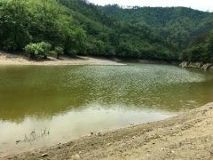 水產養殖檢測儀，為水源保護提供精準數據